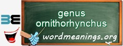 WordMeaning blackboard for genus ornithorhynchus